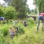 Aktion Springkraut entfernen